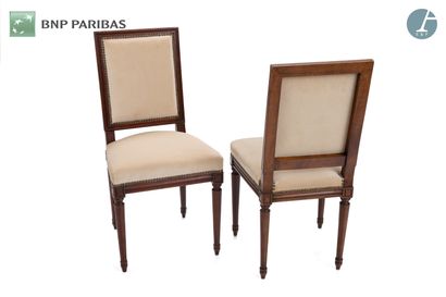 Pair of chairs in natural wood, molded and...