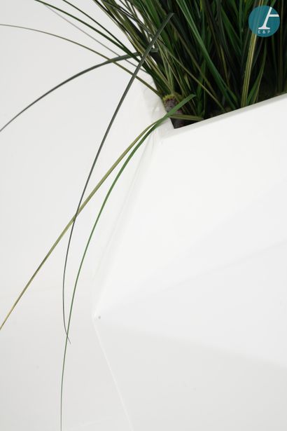 Set of two white plastic planters with cut...