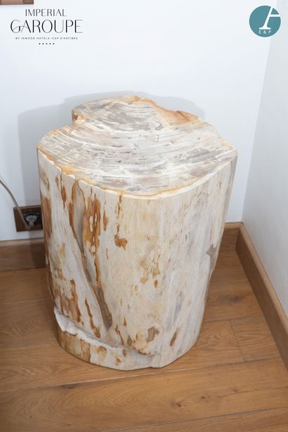 En provenance de l'Imperial Garoupe - Chambre...