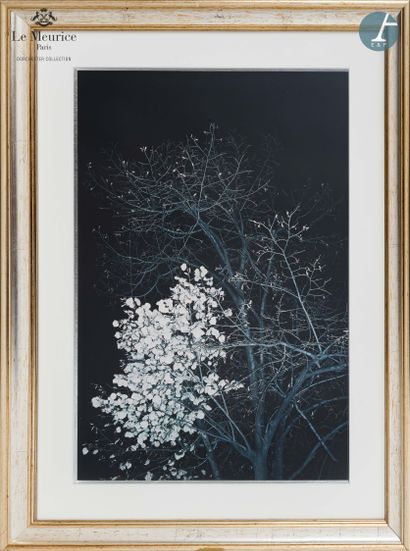 From the Hotel Le Meurice - Room 419

Framed...