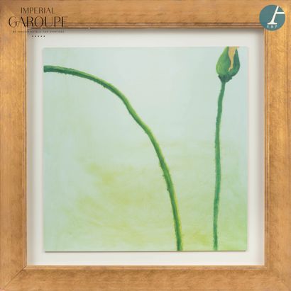 En provenance de l'Imperial Garoupe - Réception

TASHIMOTO
'Be...