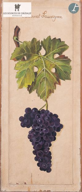 From room 26 of the Sources de Caudalie 