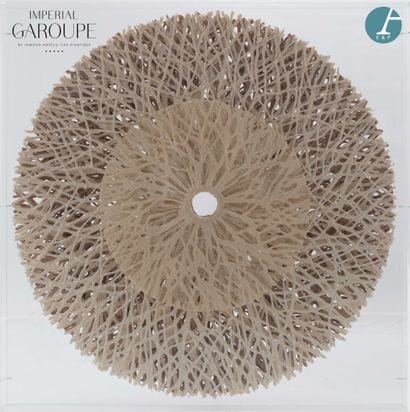 En provenance de l'Imperial Garoupe - Salon...