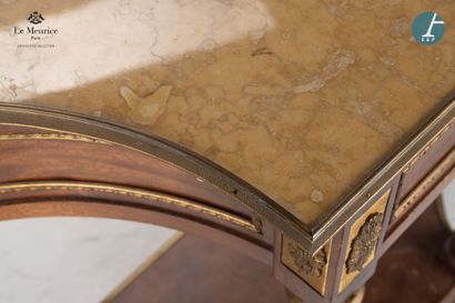 En provenance de l'Hôtel Le Meurice.
Paire...