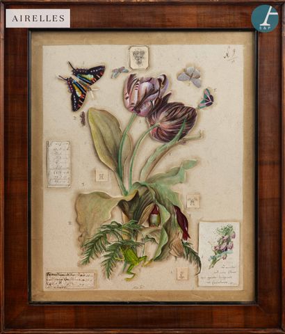 En provenance du Château de la Messardière...