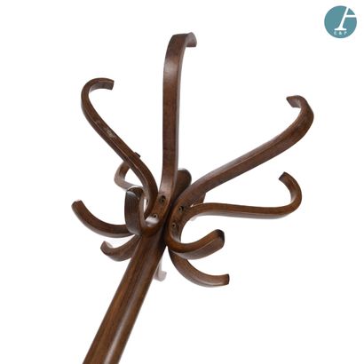 Porte-manteaux Perroquet en bois thermoformé...