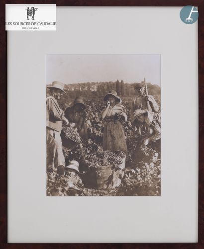 From Sources de Caudalie - Room 47 