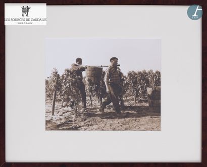 From Sources de Caudalie - Room 47 