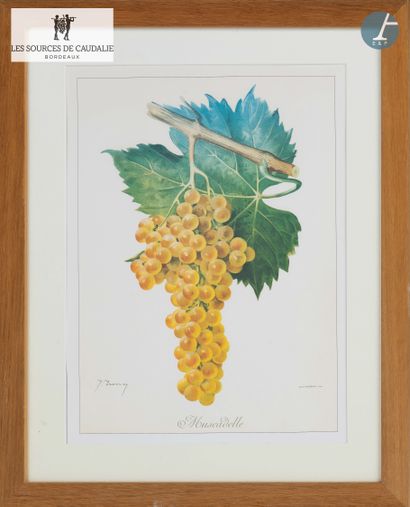 From the Sources de Caudalie
Lot of eight...