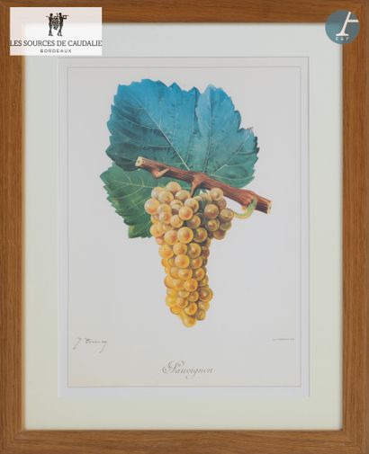 From the Sources de Caudalie
Lot of eight...