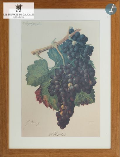 From the Sources de Caudalie
Lot of eight...