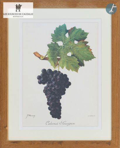 From the Sources de Caudalie
Lot of eight...