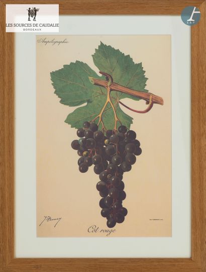 From the Sources de Caudalie
Lot of eight...