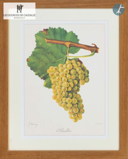 From the Sources de Caudalie
Lot of eight...