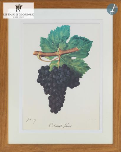 From the Sources de Caudalie
Lot of eight...