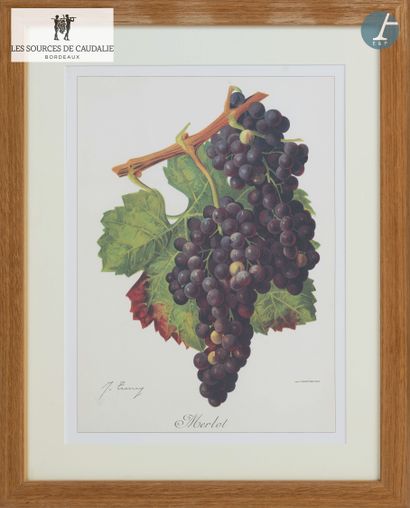 From the Sources de Caudalie
Lot of eight...