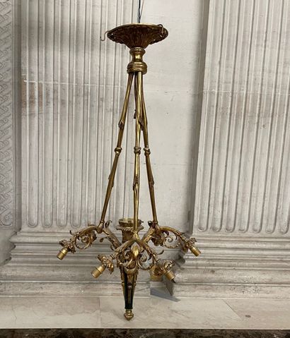 En provenance de l'ancien Grand Hôtel Continental

Lustre...