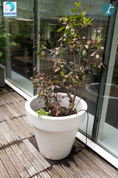 Lot de 10 jardinières rondes en plastique...
