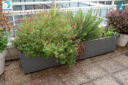 Jardinière rectangulaire en métal gris, avec...