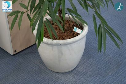 Jardinière ronde en céramique blanche, avec...