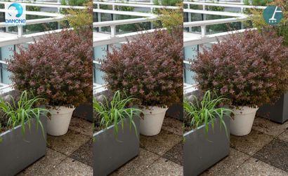ELHO
Suite de 3 jardinières en plastique...