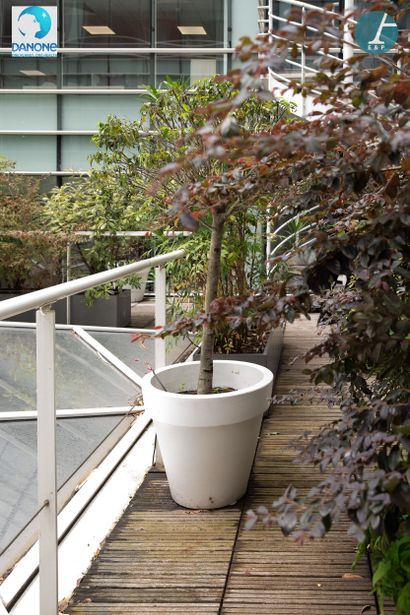 Lot de 10 jardinières rondes en plastique...