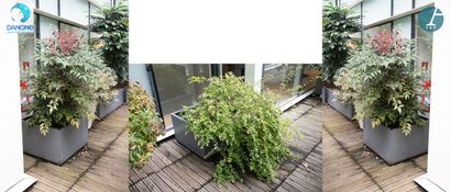 Une jardinière carrée en métal gris, avec...