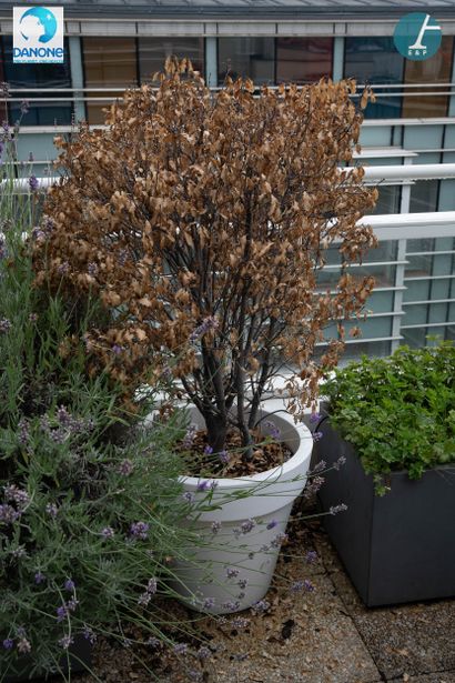 ELHO
Paire de jardinières en plastique blanc,...