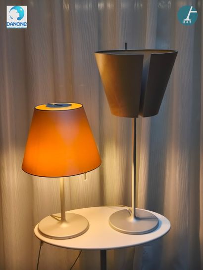 Adrien GARDERE Designer - ARTEMIDE Editeur
Melampo
Paire...