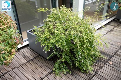 Une jardinière carrée en métal gris, avec...