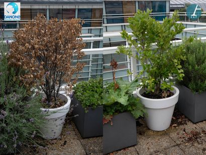 ELHO
Paire de jardinières en plastique blanc,...