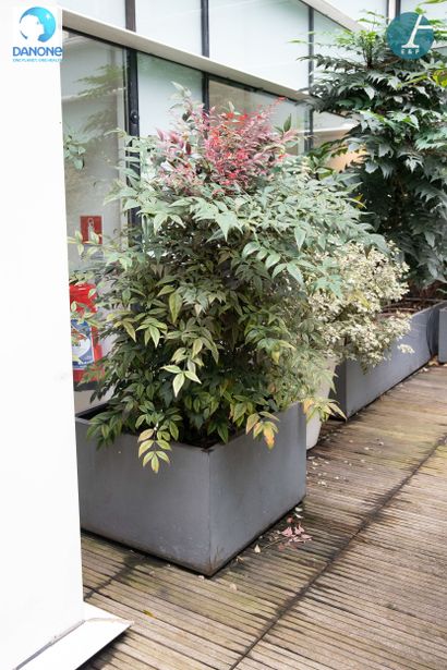Une jardinière carrée en métal gris, avec...