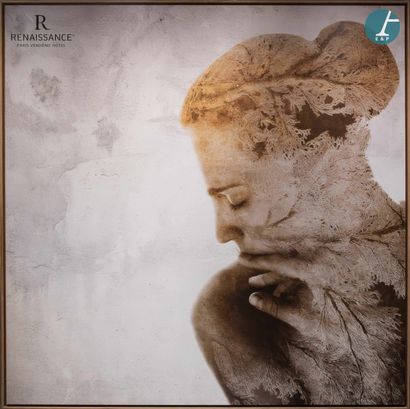 Pièce encadrée, impression sur toile
Profil...