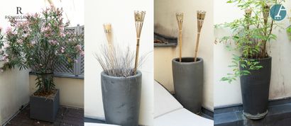 Set of 4 planters, 3 round gray ceramic planters...