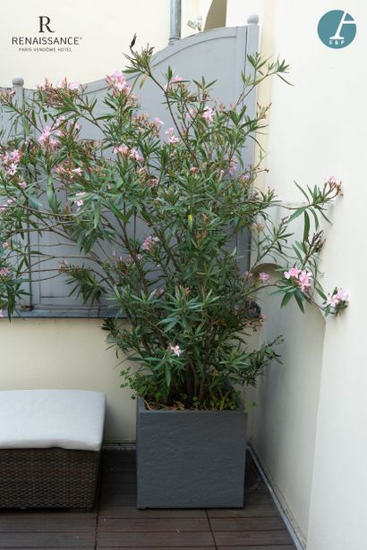 Set of 4 planters, 3 round gray ceramic planters...