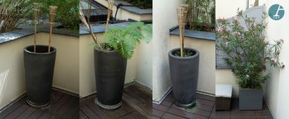 Set of 4 planters, 3 round gray ceramic planters...