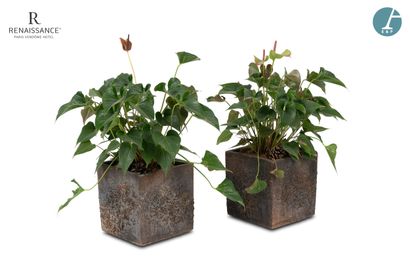 Paire de jardinières en plastique gris, avec...
