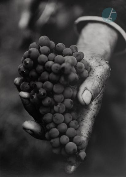 La main du vigneron
Tirage Photographique...