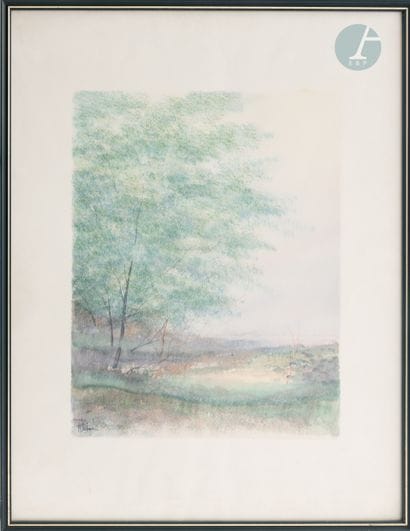 Richard NAHMIAS (1954)
Paysage
Lithographie...