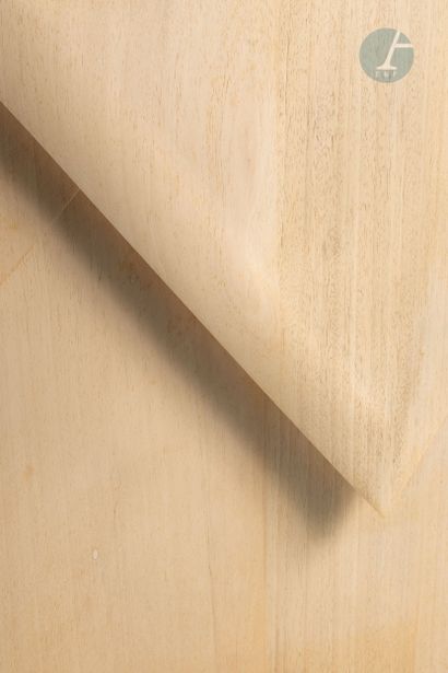 Christian RENONCIAT (1947) 
Grande enveloppe
2019
Bois...