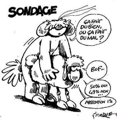 F'MURRR
SONDAGE 15 x 10 cm Pilote mensue...