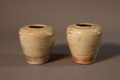 VIETNAM, Tanhoa, XIVe/XVe siècle	
Paire de...