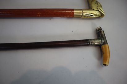 Lot de 3 cannes en bois, l'une entrelacée...