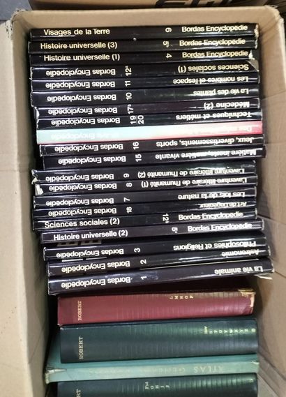 Pallet of antique books, geography books,...