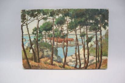 J. MAHE (20th century)
The entrance to Kerpont,...