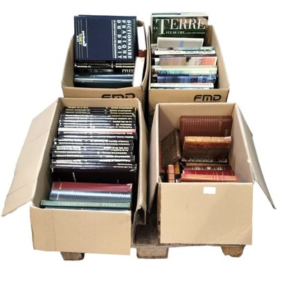 Pallet of antique books, geography books,...