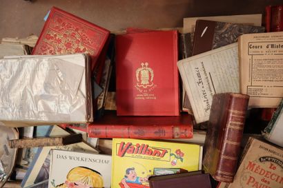 Collection of antique and modern books, comics,...
