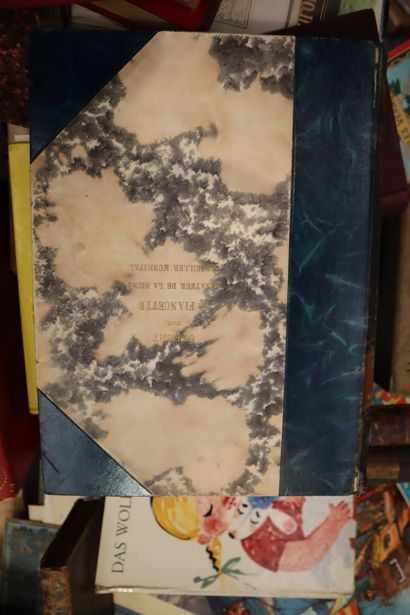 Collection of antique and modern books, comics,...