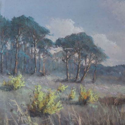 G. COX 
Landscape 
Mixed media, pastel 
Dimensions:...