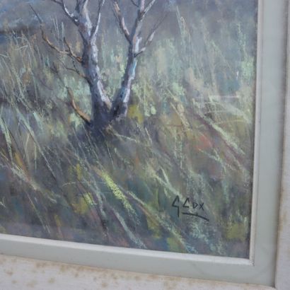 G. COX 
Landscape 
Mixed media, pastel 
Dimensions:...